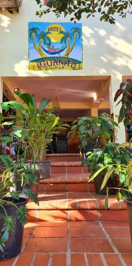 Hotel Iguanito Santa Catalina Esterno foto